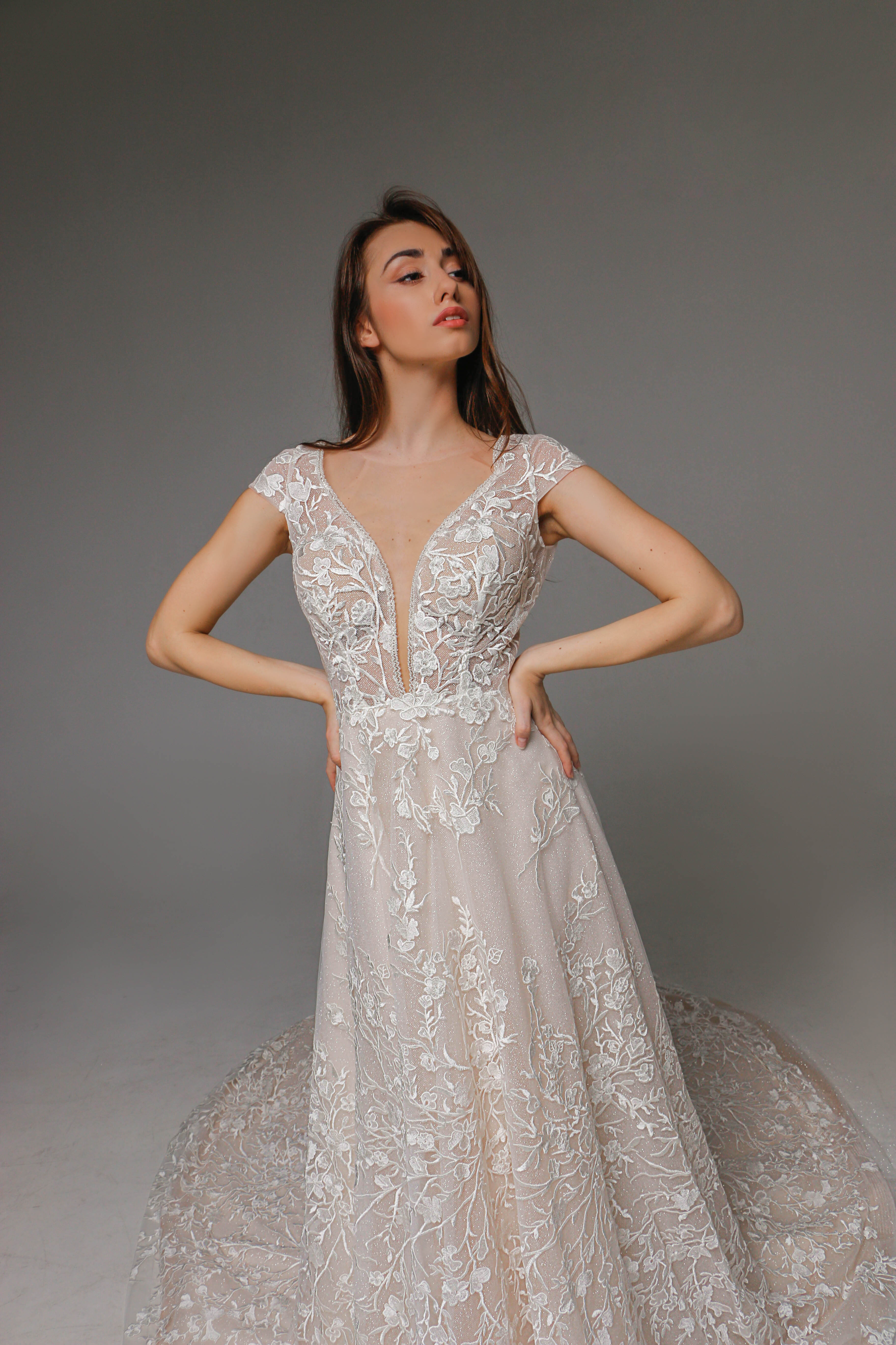 V0109, Lace Wedding Dress, Short Sleeved Wedding Dress